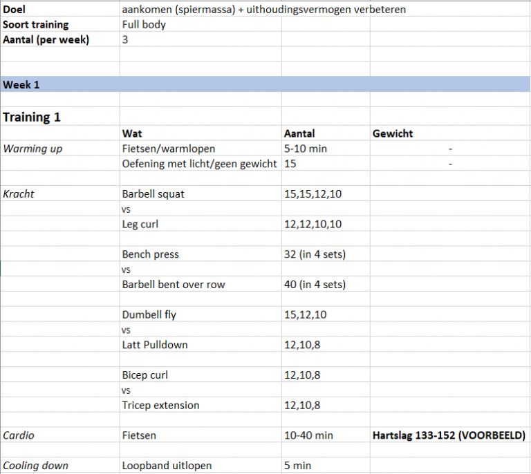 Trainingsschema Personal Training Youp van Buren